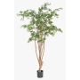 Umělý japonský javor ILIANU, skutečný kmen, zelený, 180cm