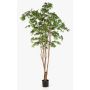 Umělá rostlina japonský javor ILIANU, skutečné kmeny, zelená, 240cm