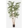 Umělý strom Bucida Buceras LEANDRI, přírodní kmen, zelený, 210cm