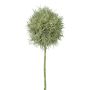 Umělá květina Allium GLORF, šedozelená, 75cm