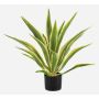 Umělá Agave americana ZURNAL v dekorativním květináči, crossdoor, zelenožlutá, 70cm