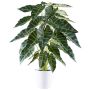 Umělá alokázie Alocasia Sanderiana PIVLA, melaminový květináč, zelená, 70cm