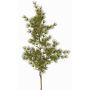 Umělá větev Asparagus umbellatus DIKERNO, zelená, 75cm
