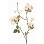 Umělá větvička kapustové růže LORRAINE, Eco Collection, krémově žlutá, 60cm, Ø3cm
