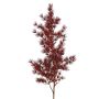 Umělá větev Asparagus umbellatus DIKERNO, vínově červená, 75cm