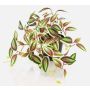 Umělá rostlina Tradescantia zebrina DIHALLO v dekorativním květináči, zeleno-červená, 19cm