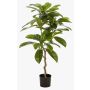 Umělý strom Frangipani MORSHA, umělý kmen, zelený, 110cm