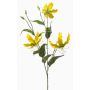 Dekorativní větvička Gloriosa TROFEL, žlutozelená, 90cm