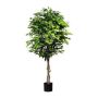 Umělý stromek Ficus Benjamini ARNOMO, přírodní kmeny, 180 cm