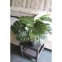 Umělá rostlina Philodendron monstera deliciosa CUNKYN v ozdobném květináči, 55cm