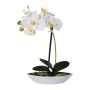 Umělá orchidej Phalaenopsis ORWAN, dekorativní květináč, kořeny, bílá, 30cm