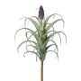 Umělý sukulent Tillandsia stricta KROST, stonek, květ, zeleno-fialový, 23cm