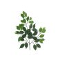 Umělá větev Ficus Benjamini SAKURA, 12 kusů, zelená, 55cm