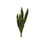 Plastová pěna Sansevieria trifasciata CADENCE, zelenožlutá, 60cm