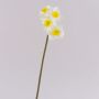 Umělý narcis SEPUNY, krémově žlutý, 40cm
