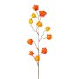 Dekorativní větvička Physalis LISOP s plody, oranžovo-žlutá, 80cm