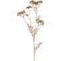 Umělá větvička divoké mrkve GRAHEN, zlatá, 85cm