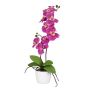 Dekorativní květina Phalaenopsis orchidej MORLEK, keramický květináč, kořeny, růžová, 60cm