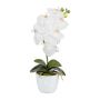 Dekorativní květina orchidej Phalaenopsis DRINTOR, keramický květináč, kořeny, bílá, 40cm