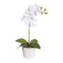 Dekorativní květina Phalaenopsis orchidej TRALKE, dekorativní květináč, kořeny, bílá, 40cm