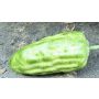 Dekorativní plod kakaovník FORDIHAN, zelený, 13cm