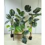 Umělá rostlina Philodendron monstera deliciosa CUNKYN v dekorativním květináči, 60cm