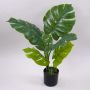 Umělá rostlina Philodendron monstera deliciosa CUNKYN v dekorativním květináči, 60cm