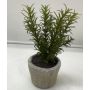 Rozmarýn POLINDA umělá rostlina v dekorativním květináči, zelená, 26cm