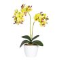 Dekorativní květina orchidej Phalaenopsis FRUXO, keramický květináč, kořeny, zelená, 50cm
