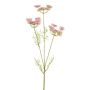 Umělá větvička divoké mrkve KRAHEN, růžová, 50cm