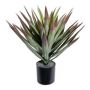 Umělá palma Yucca elephantipes PLEMO, zeleno-červená, 50cm