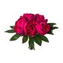 Umělá květinová kytice pivoňka SIRKO, cerise, 30cm