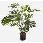 Dekorativní filodendron Monstera Deliciosa Variegata LESATH, zeleno-bílý, 85cm