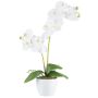 Umělá orchidej Phalaenopsis KRUZBER, keramický květináč, kořeny, bílá, 55cm