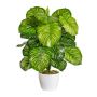 Umělá rostlina Calathea Orbifolia BLAHEN, keramický květináč, zelená, 50cm