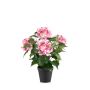 Umělá hortenzie DORJA v dekorativním květináči, růžová, 40cm