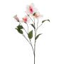 Dekorativní větvička ibišku TRUGEN s květy, bílo-růžová, 85cm