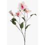 Dekorativní větvička ibišku TRUGEN s květy, bílo-růžová, 85cm