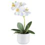 Textilní orchidej Phalaenopsis WERKAN, keramický květináč, kořeny, bílá, 27cm