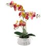 Umělá orchidej Phalaenopsis BLORVEN, cementový květináč, kořeny, žlutorůžová, 50cm