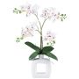 Umělá orchidej Phalaenopsis DRUKLON, keramická váza, kořeny, bílo-červená, 40cm