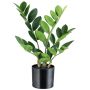Umělá rostlina Zamioculcas BLUHAR, 35cm