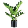 Umělá rostlina Zamioculcas BLUHAR, 45cm