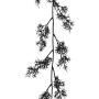 Umělý věnec Asparagus sprengeri NAFTY, černý, 175cm