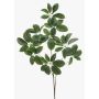 Dekorativní větev Schefflera PARVANEH, zelená, 110cm