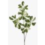Dekorativní větev Schefflera PARVANEH, zelenobílá, 110cm