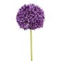 Umělá květina Allium KLATE, fialová, 90cm