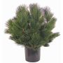 Umělý keř borovice pinie KARHA, pro interiér i exteriér, zelený, 70cm, Ø70cm