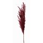 Umělá větvička pampové trávy ERATO, vínová, burgundské, 100cm