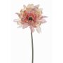 Textilní květina gerbera PAMILLA, starorůžová, starorůžovo-krémový, 65cm, Ø12cm